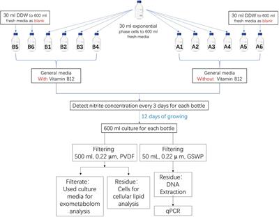 Characterization of the Exometabolome of Nitrosopumilus maritimus SCM1 by Liquid Chromatography–Ion Mobility Mass Spectrometry